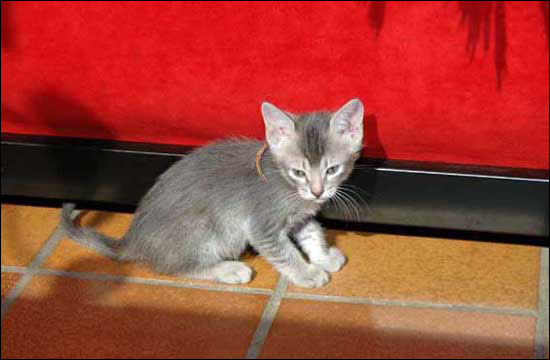 5b-Arabella 5 Wochen